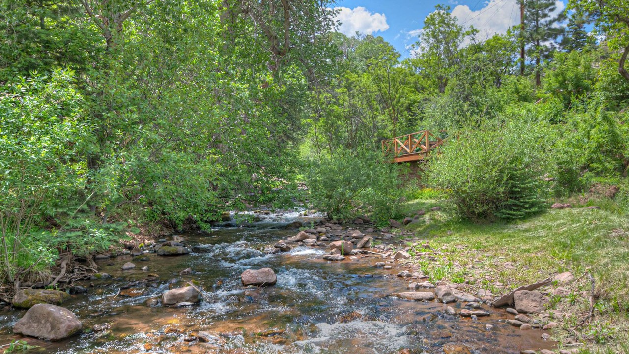 Photo of Others in La Veta
