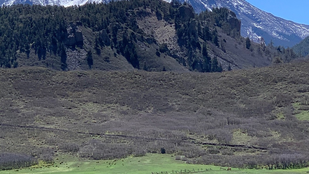 Photo of Outdoor in La Veta