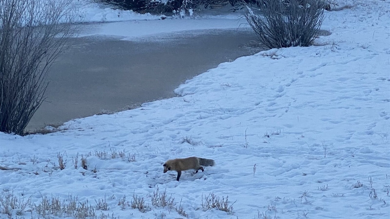 Photo of Outdoor in Gunnison