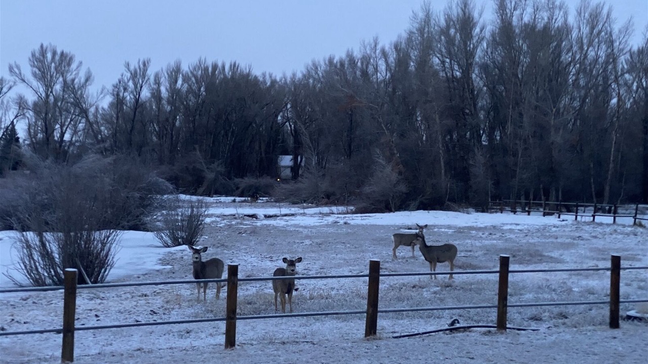Photo of Outdoor in Gunnison