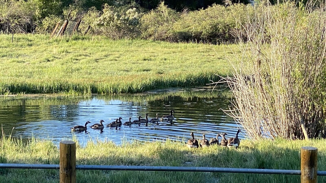 Photo of Outdoor in Gunnison