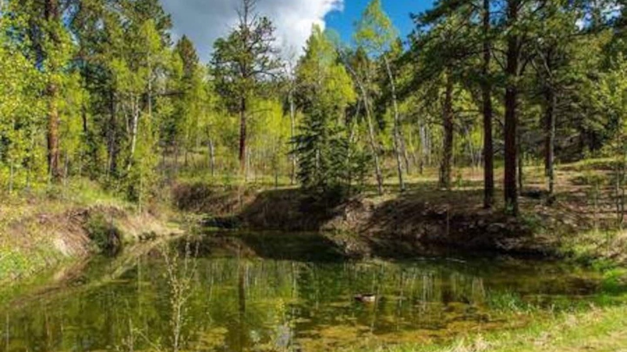 Photo of Outdoor in Golden Gate Canyon
