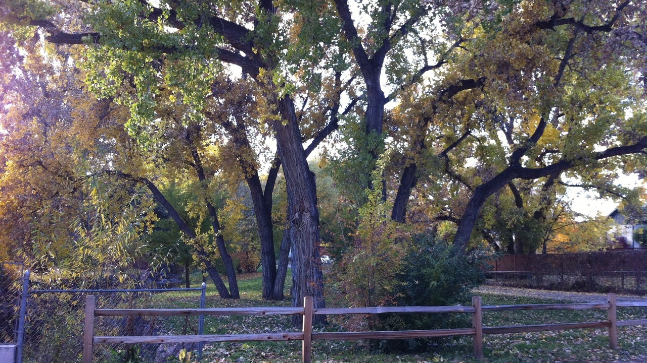 Photo of Outdoor in Lakewood