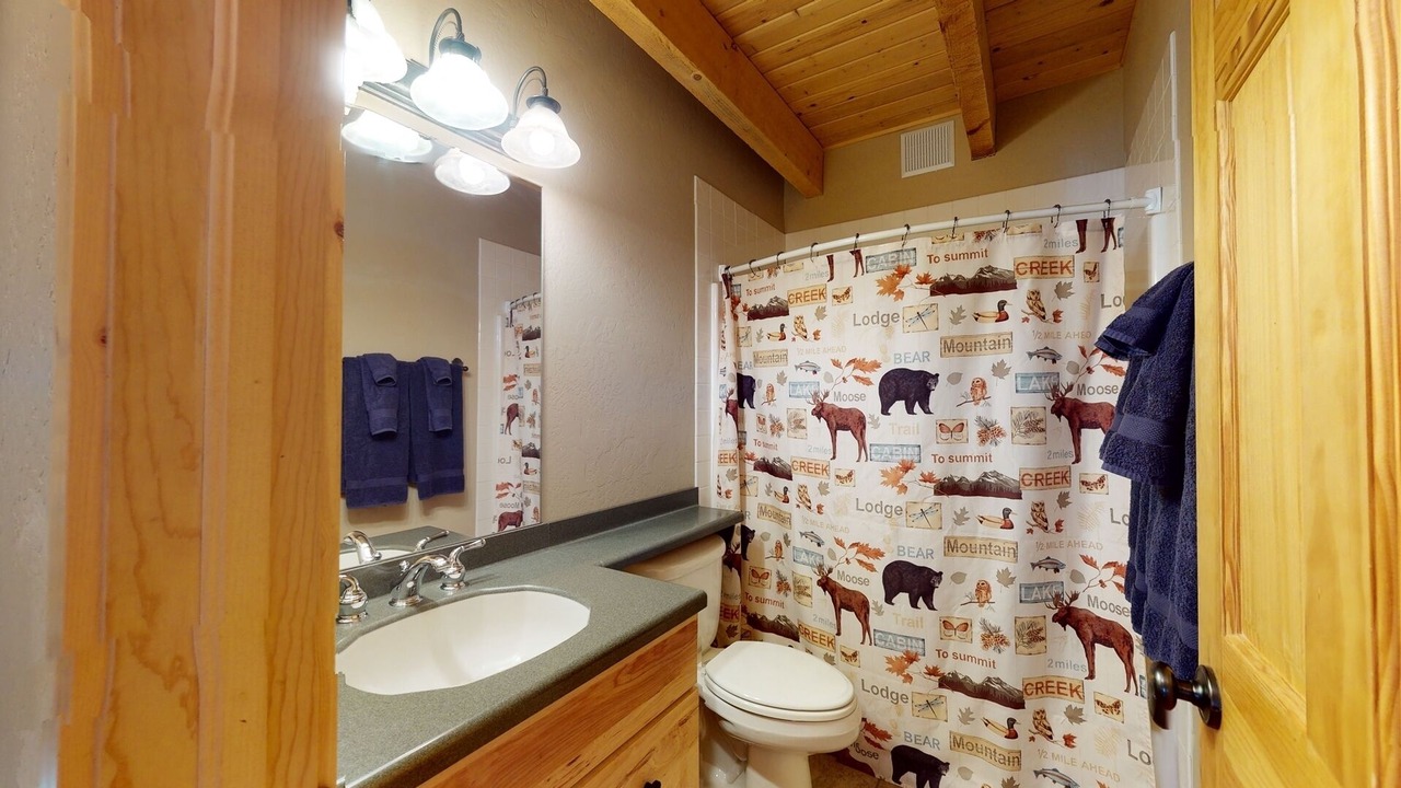Photo of Bathroom in Almont