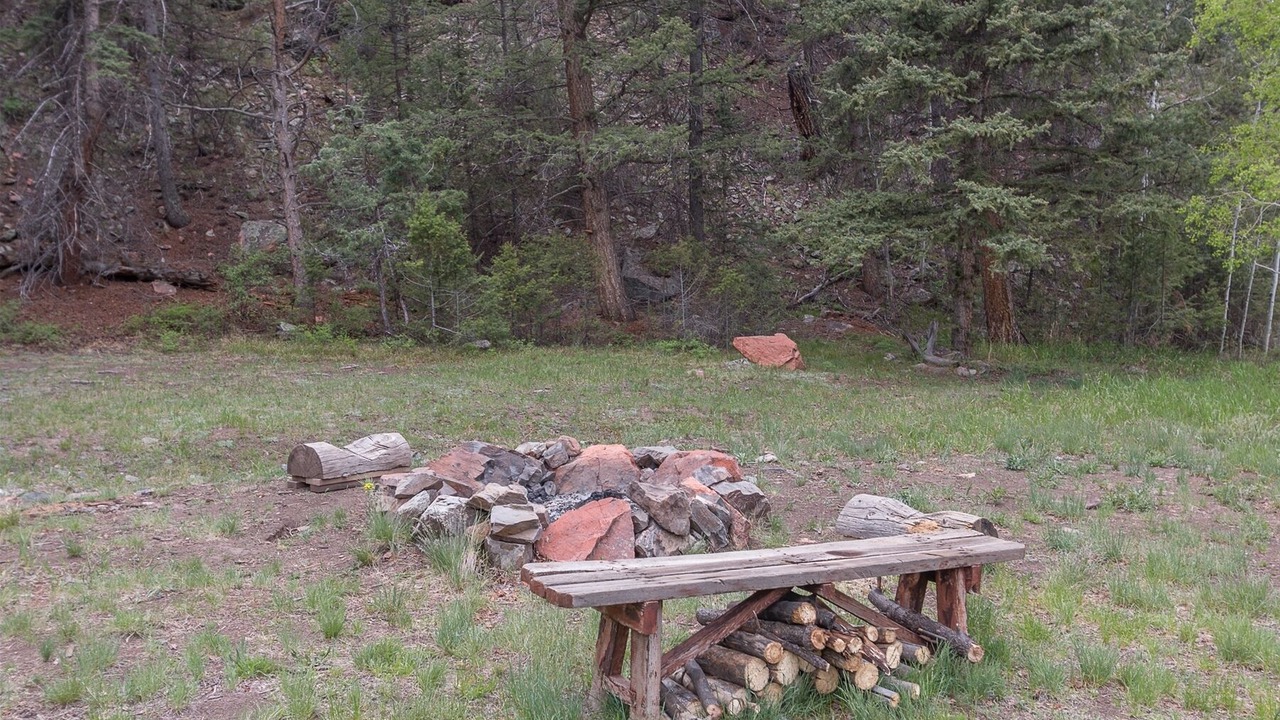 Photo of Outdoor in Almont
