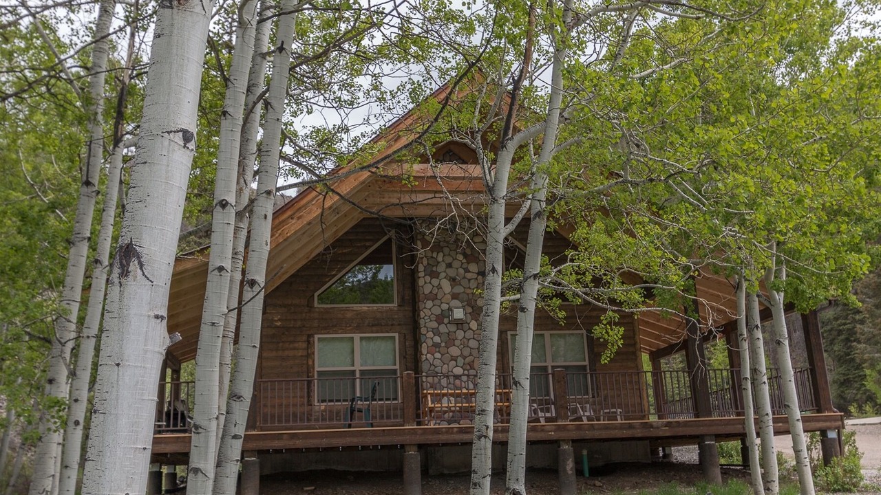 Photo of Outdoor in Almont