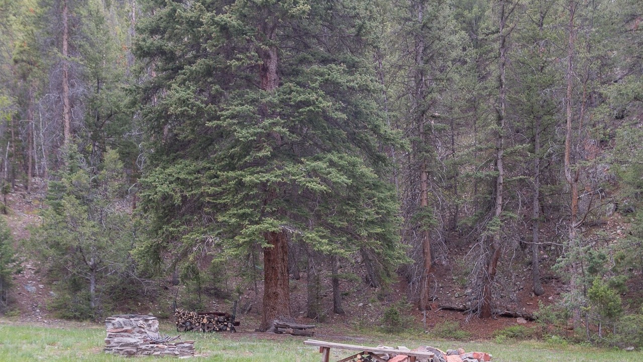 Photo of Outdoor in Almont