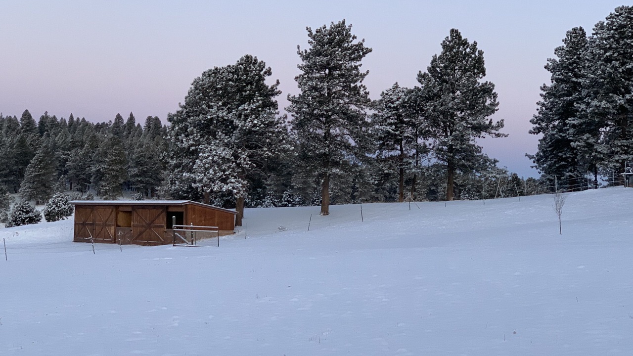 Photo of Others in Woodland Park