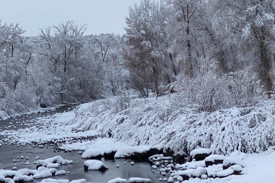 Photo of Others in Pagosa Springs