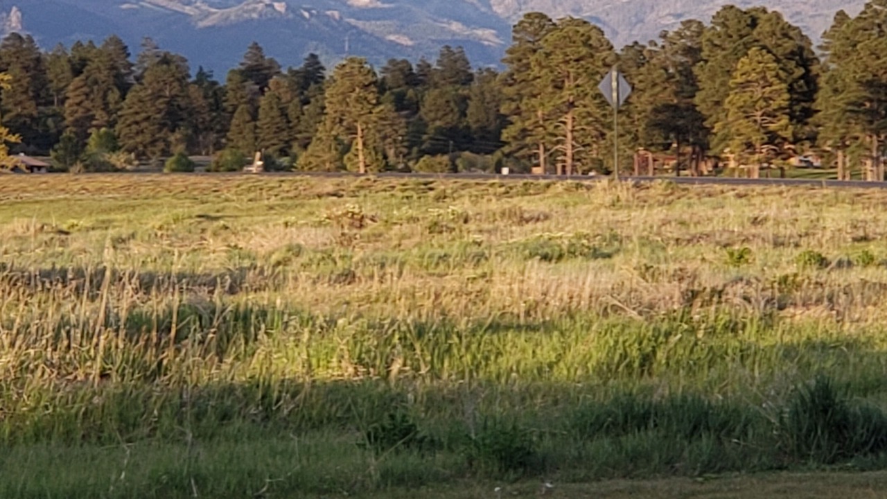 Photo of Others in Pagosa Springs