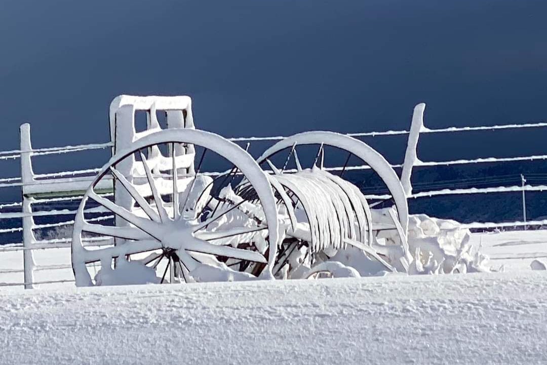 Photo of Others in Pagosa Springs