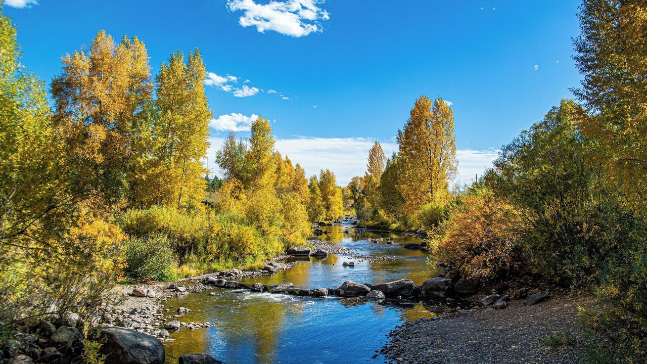 Photo of Others in Steamboat Springs