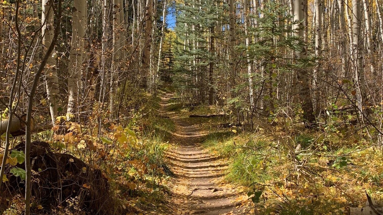 Photo of Outdoor in Eagle-Vail