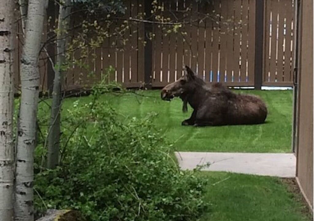 Photo of Others in Vail