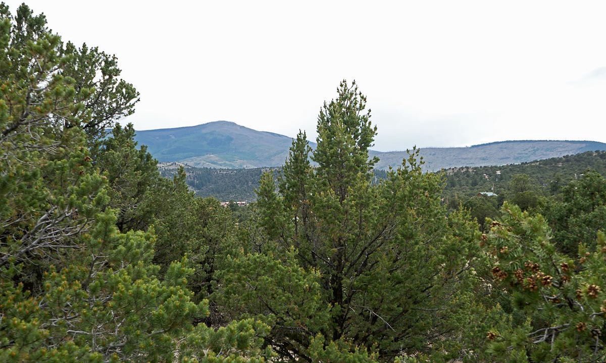 Photo of Outdoor in Alpine Village