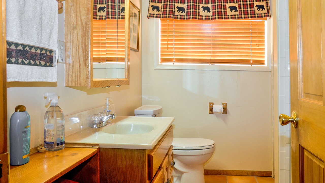 Photo of Bathroom in Alpine Village