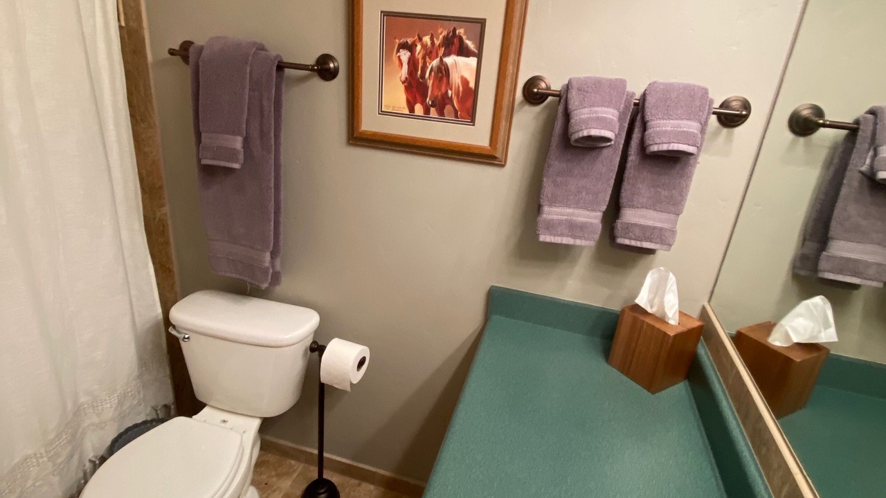 Photo of Others in Steamboat Springs
