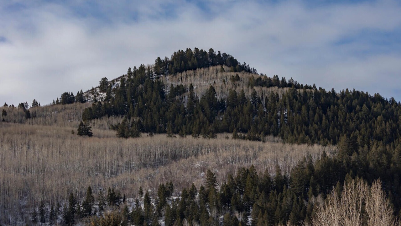 Photo of Others in Eagle-Vail