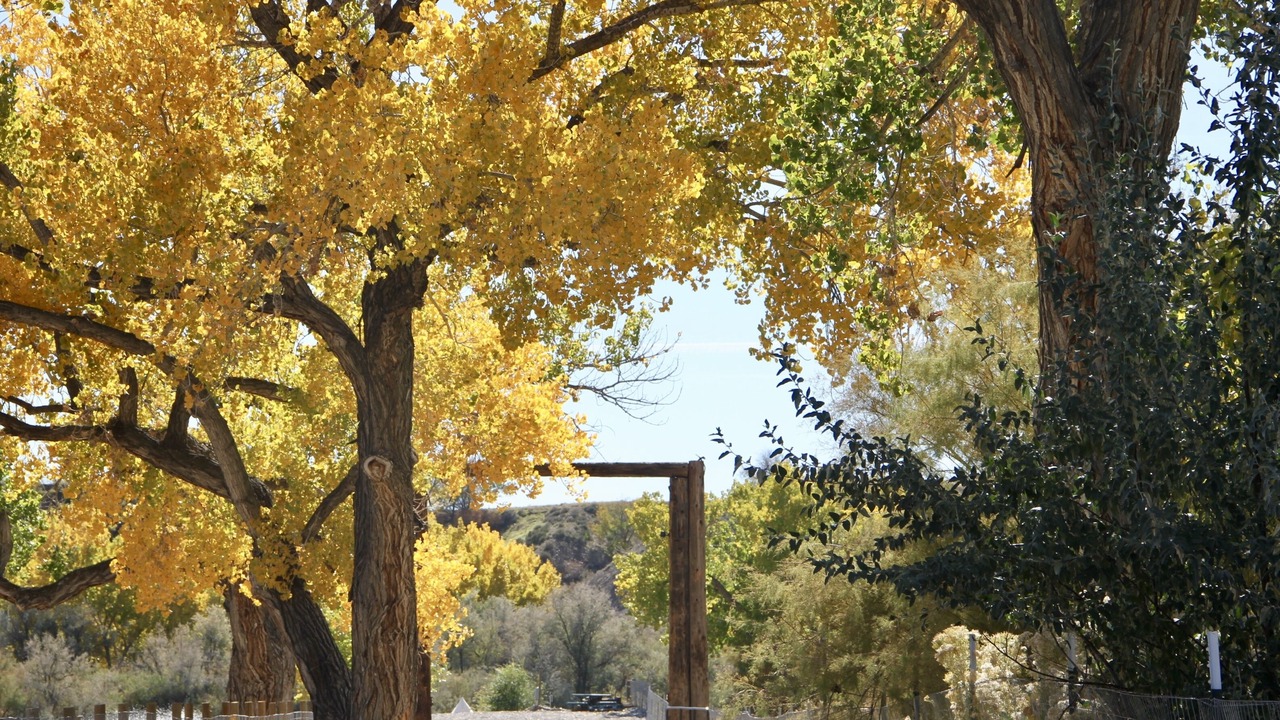 Photo of Outdoor in Clifton