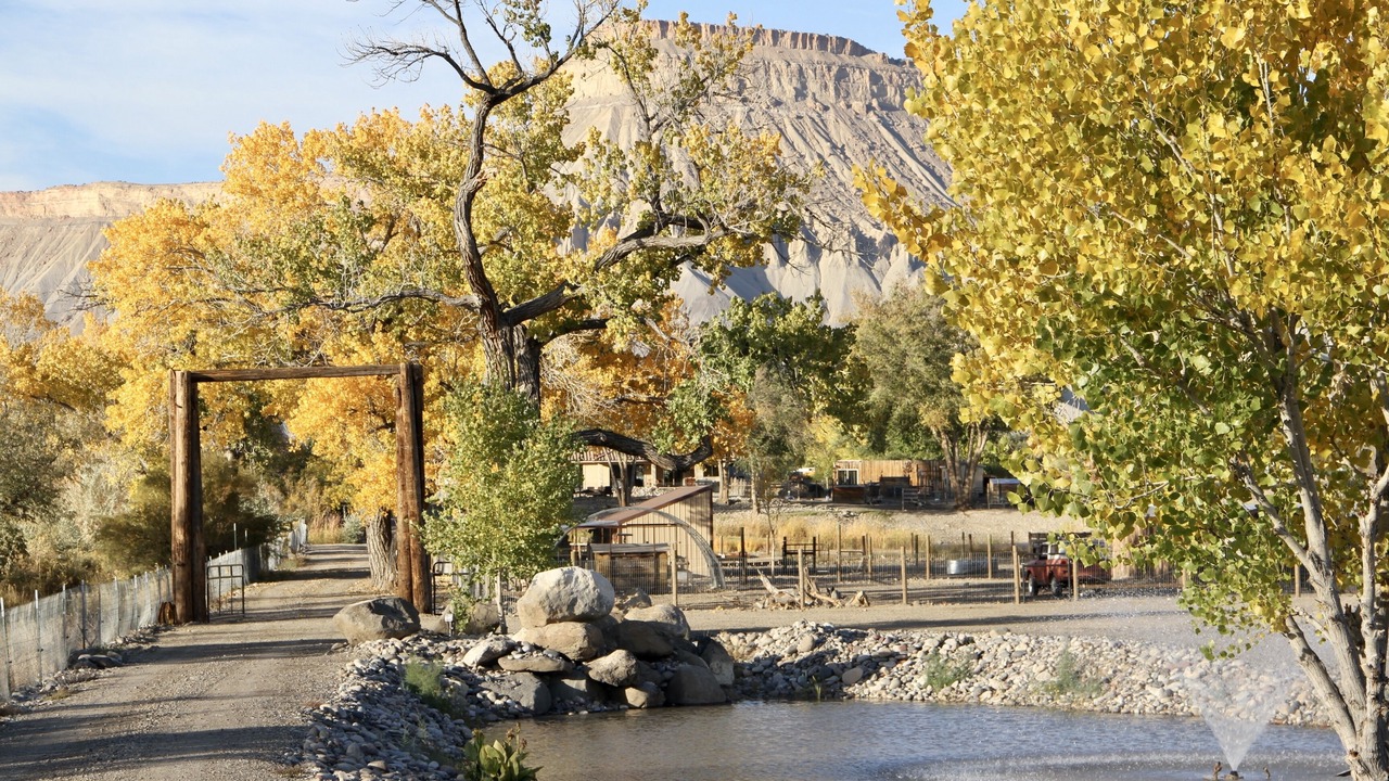 Photo of Outdoor in Clifton