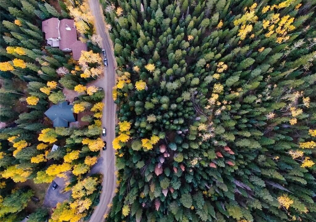 Photo of Outdoor in Downieville-Lawson-Dumont