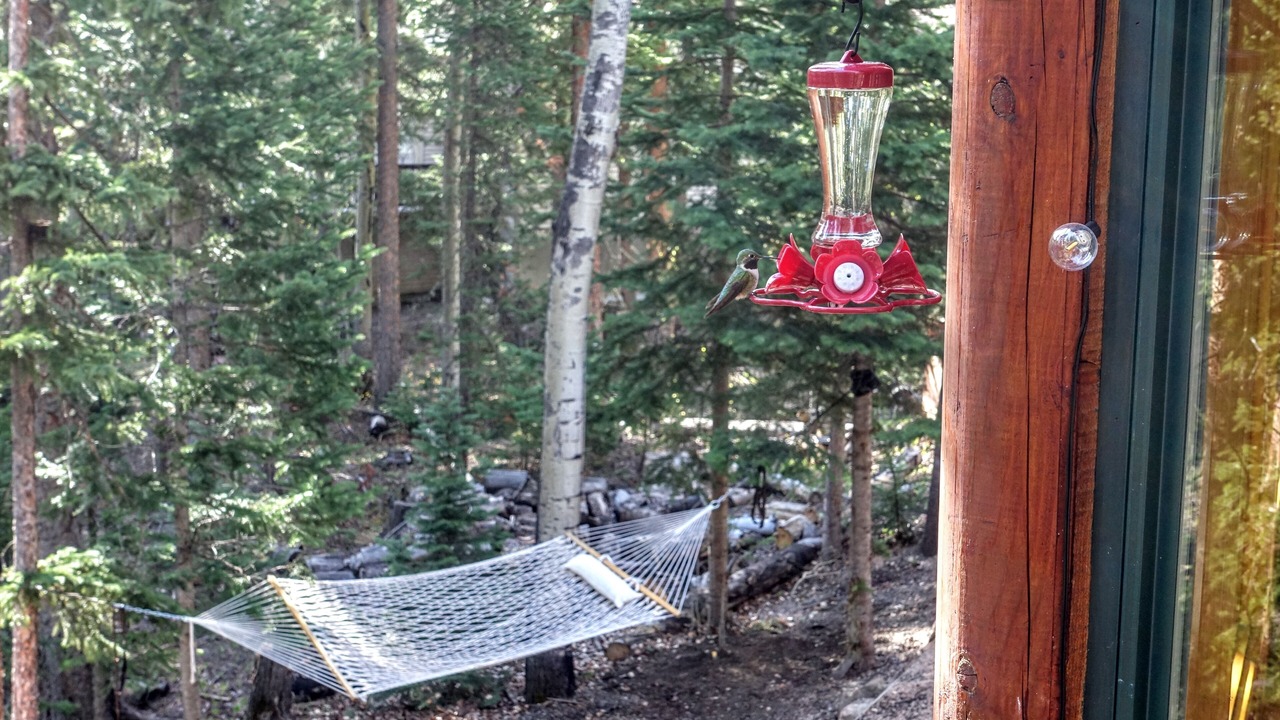 Photo of Outdoor in Downieville-Lawson-Dumont