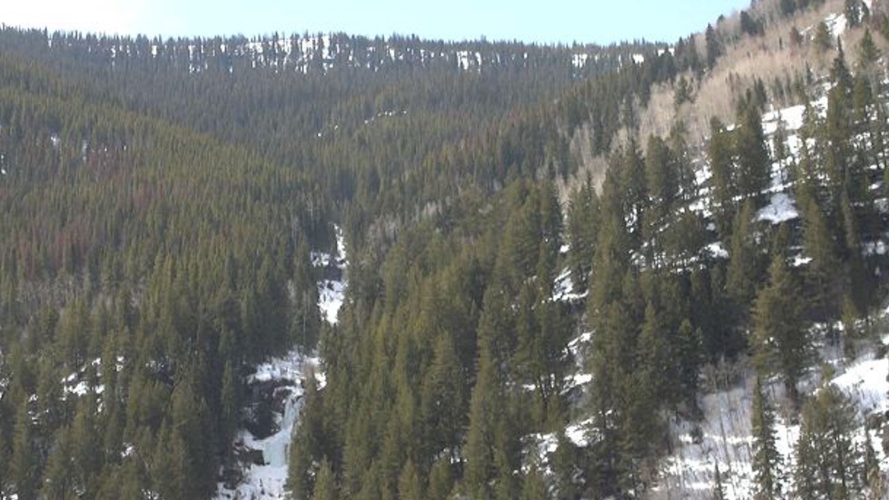 Photo of Others in Vail