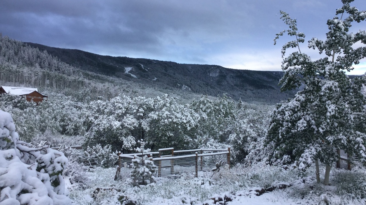 Photo of Outdoor in Mesa