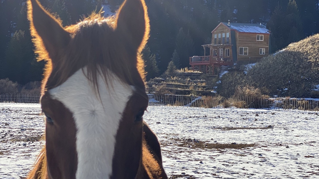 Photo of Others in Creede