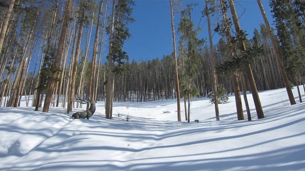 Photo of Others in Highland Meadows