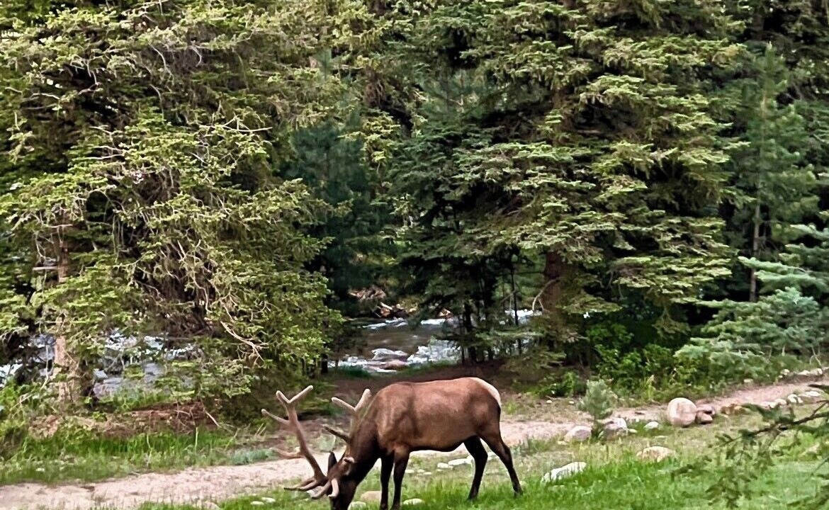 Photo of Others in Fall River Estates