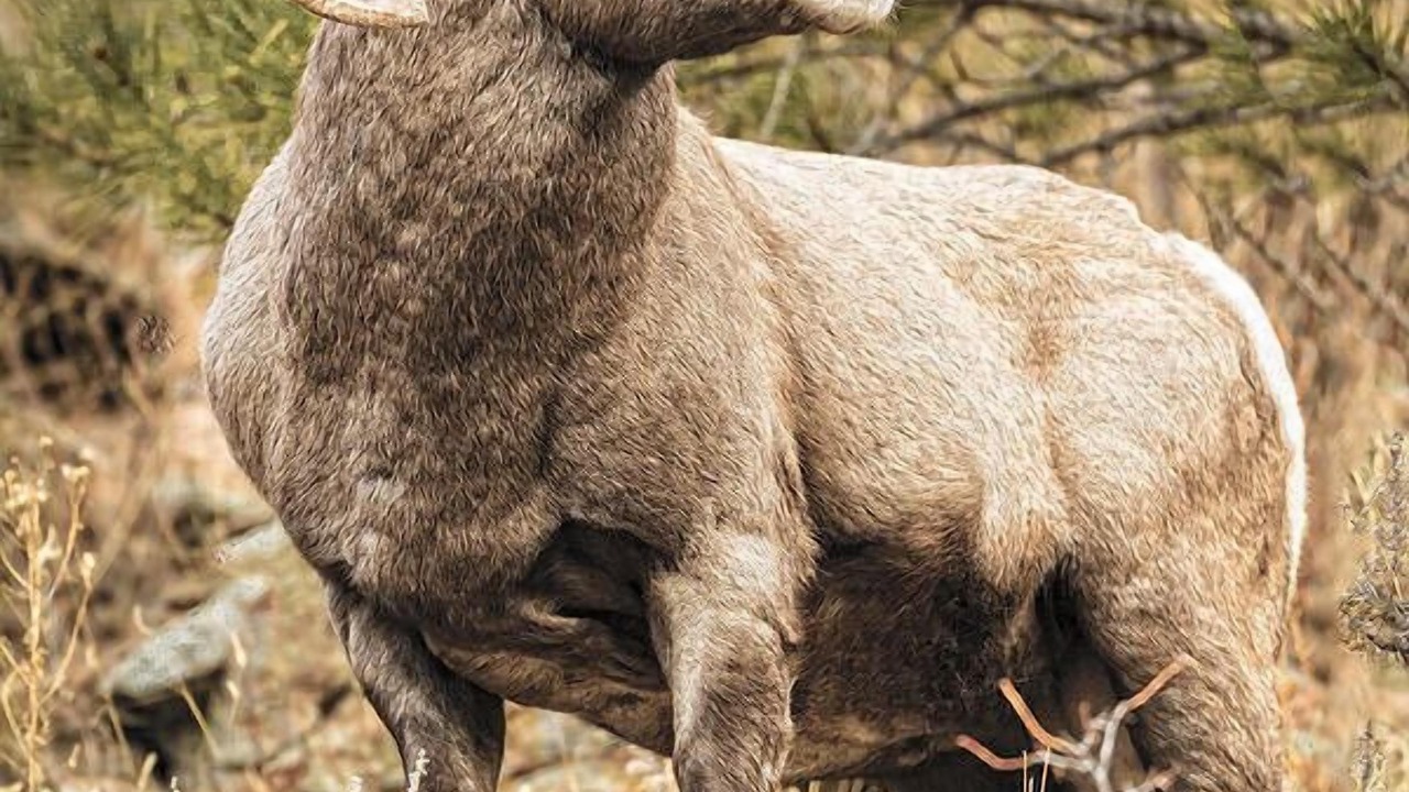 Photo of Outdoor in Rustic