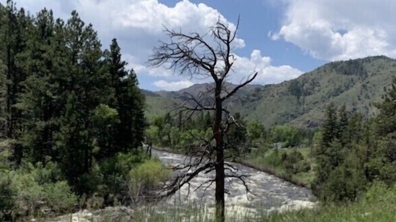 Photo of Outdoor in Rustic