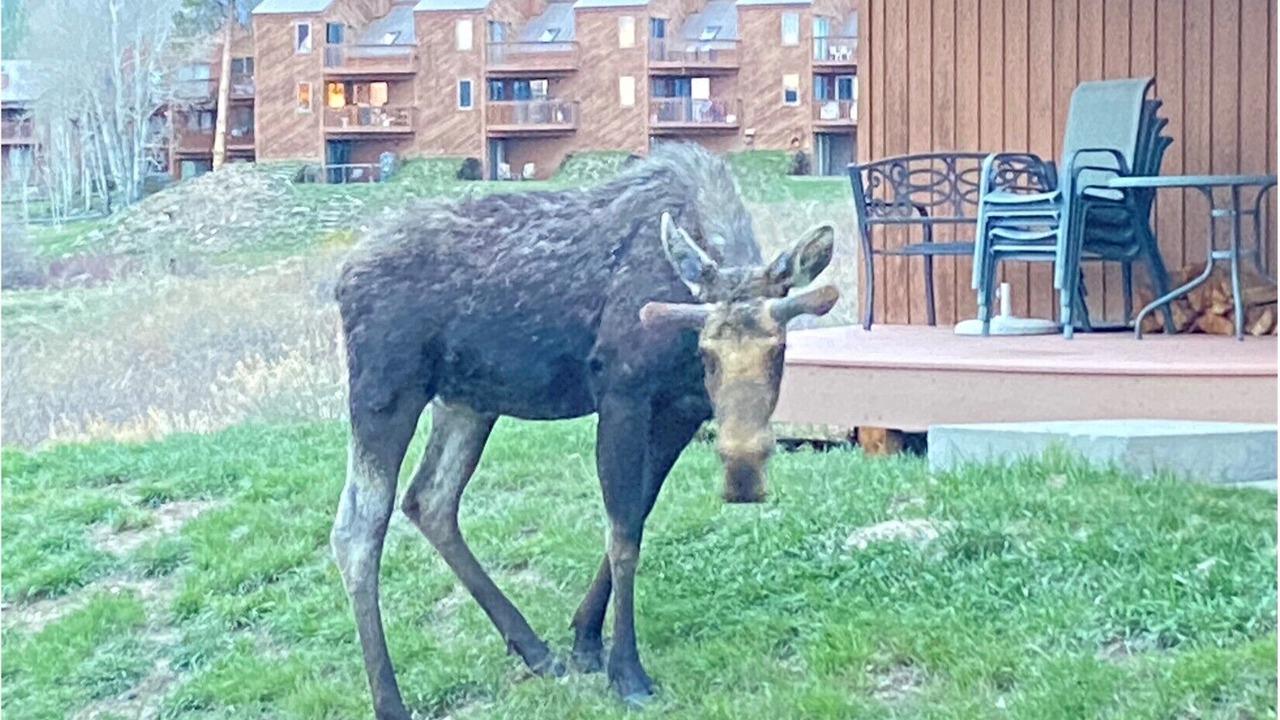 Photo of Outdoor in Grand Lake