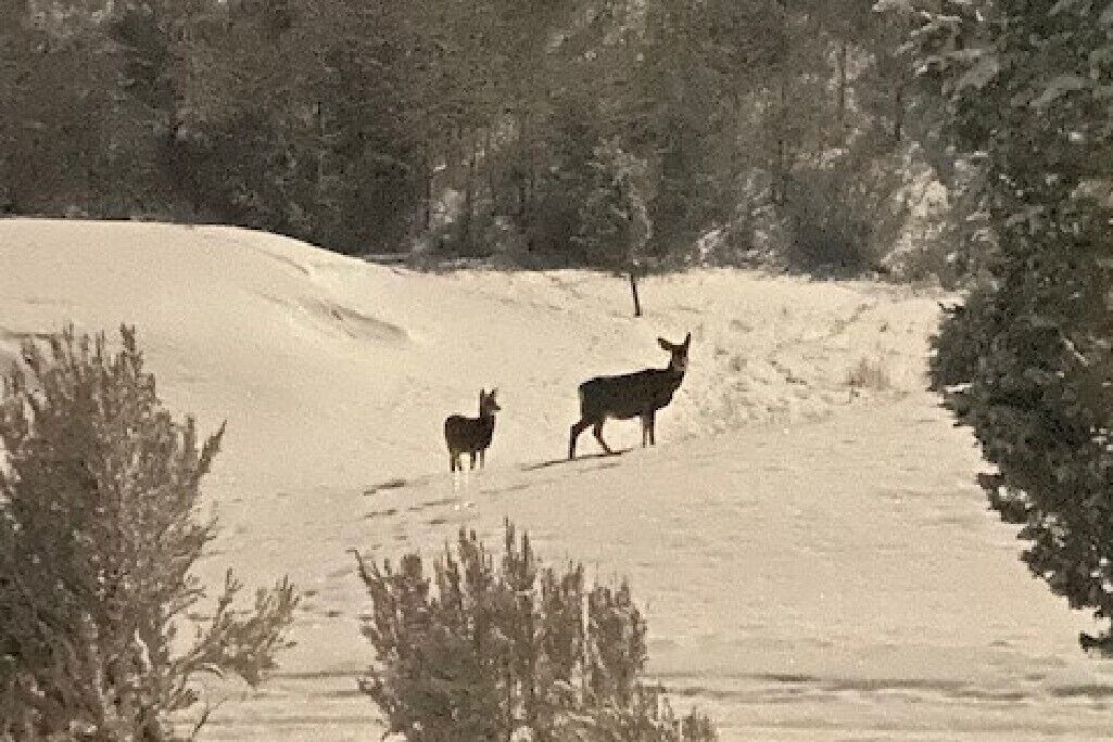 Photo of Others in Cordillera