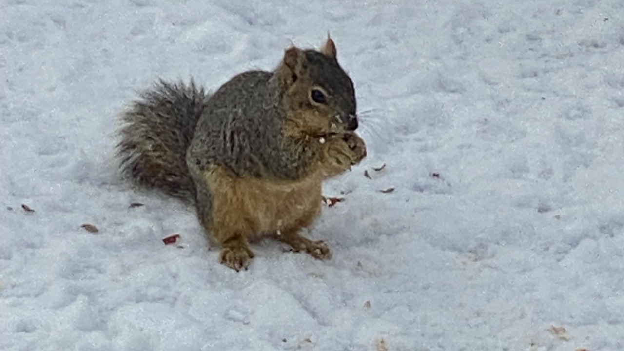 Photo of Others in Green Mountain