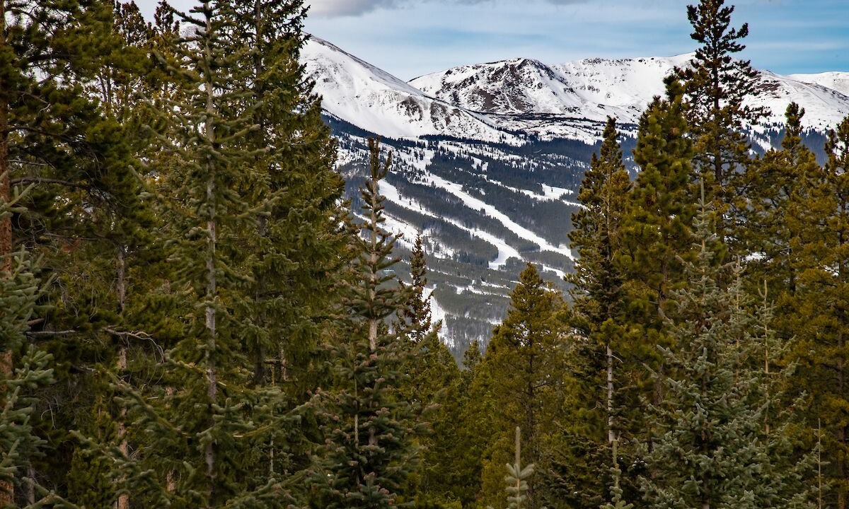 Photo of Outdoor in Breckenridge Park Estates