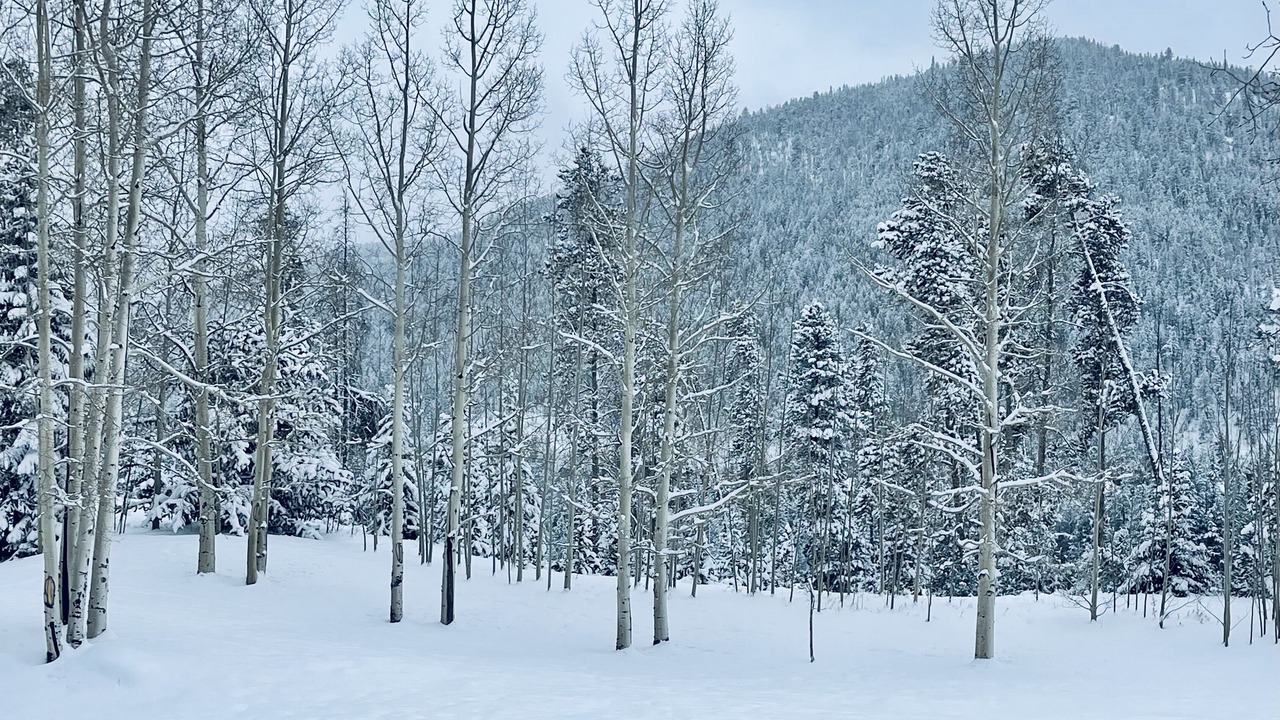 Photo of Outdoor in Keystone