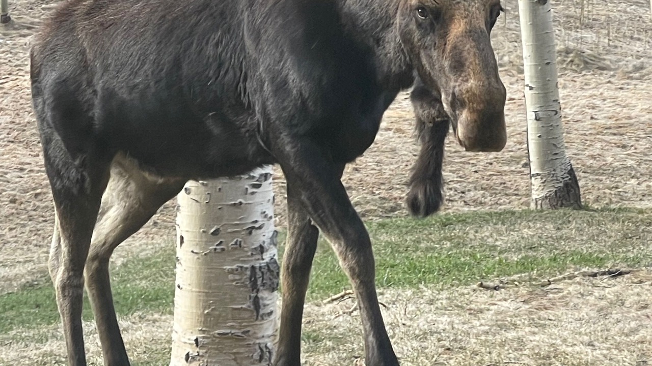 Photo of Outdoor in Keystone
