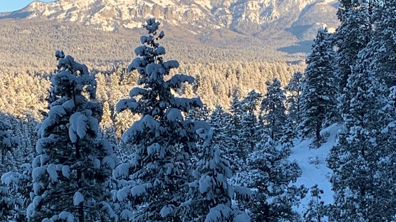 Photo of Others in Pagosa Springs