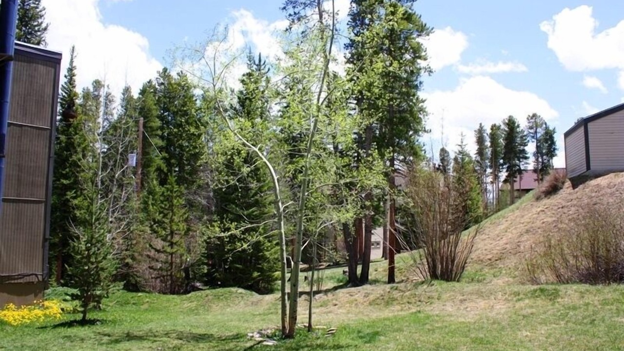Photo of Outdoor in Peak 8