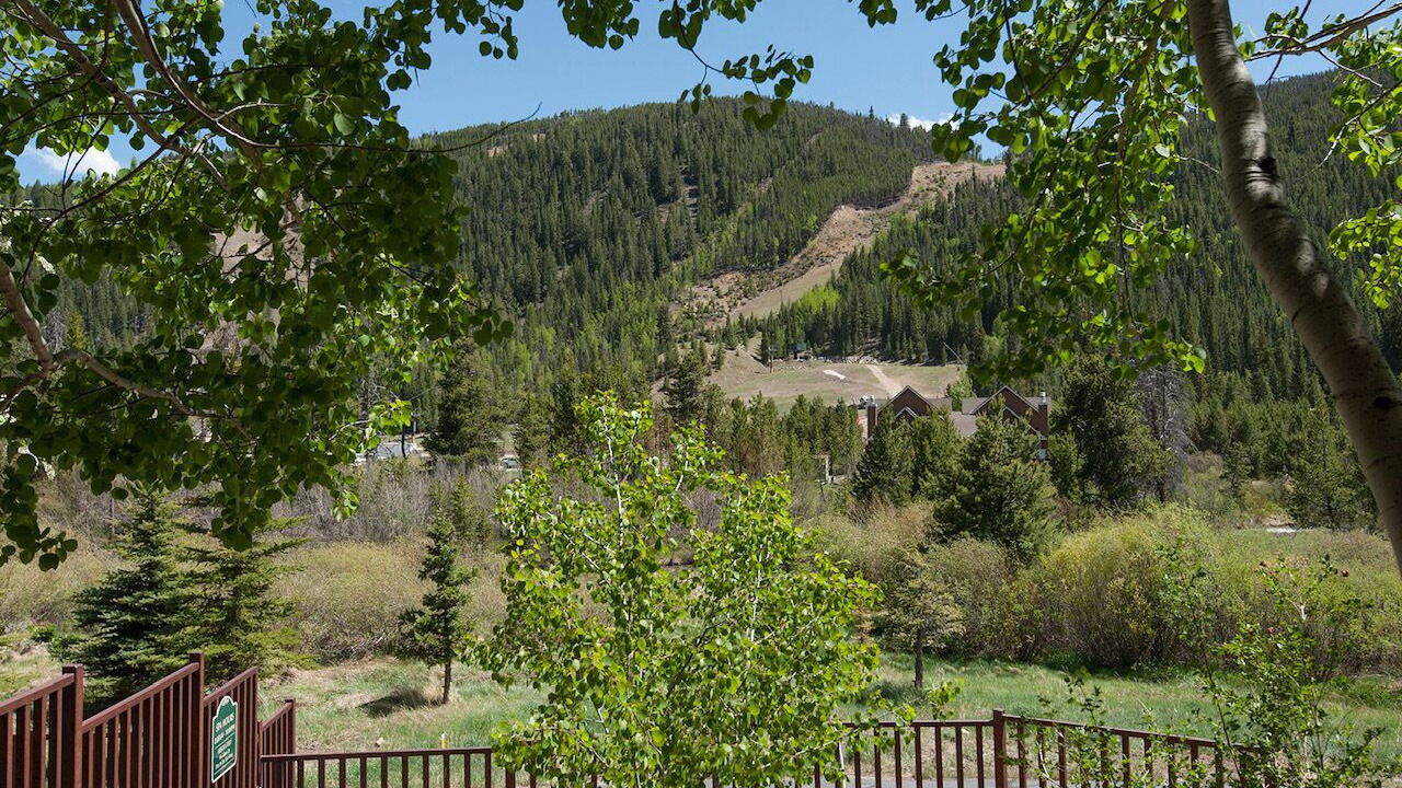 Photo of Others in Mountain House