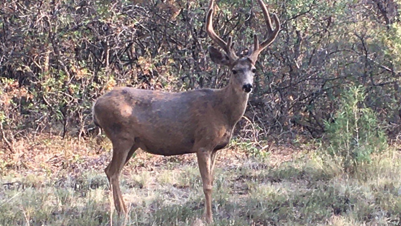 Photo of Outdoor in Loghill Village