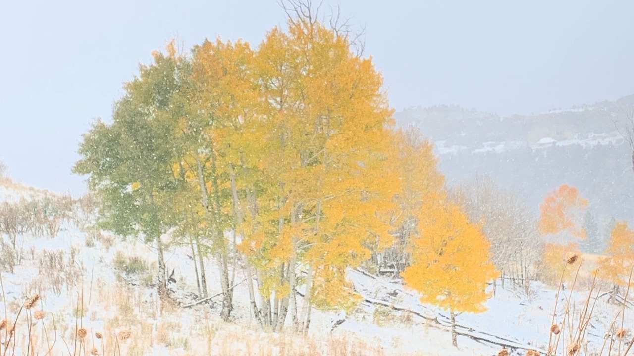 Photo of Others in Telluride