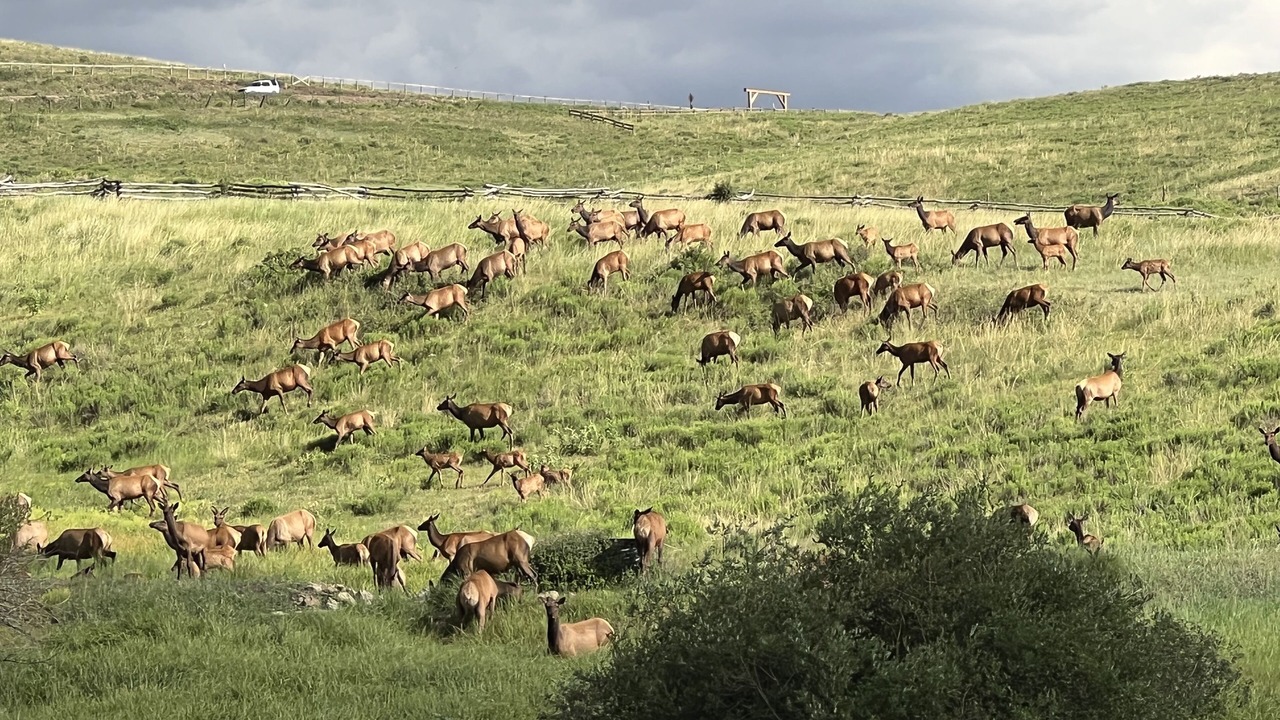Photo of Others in Telluride