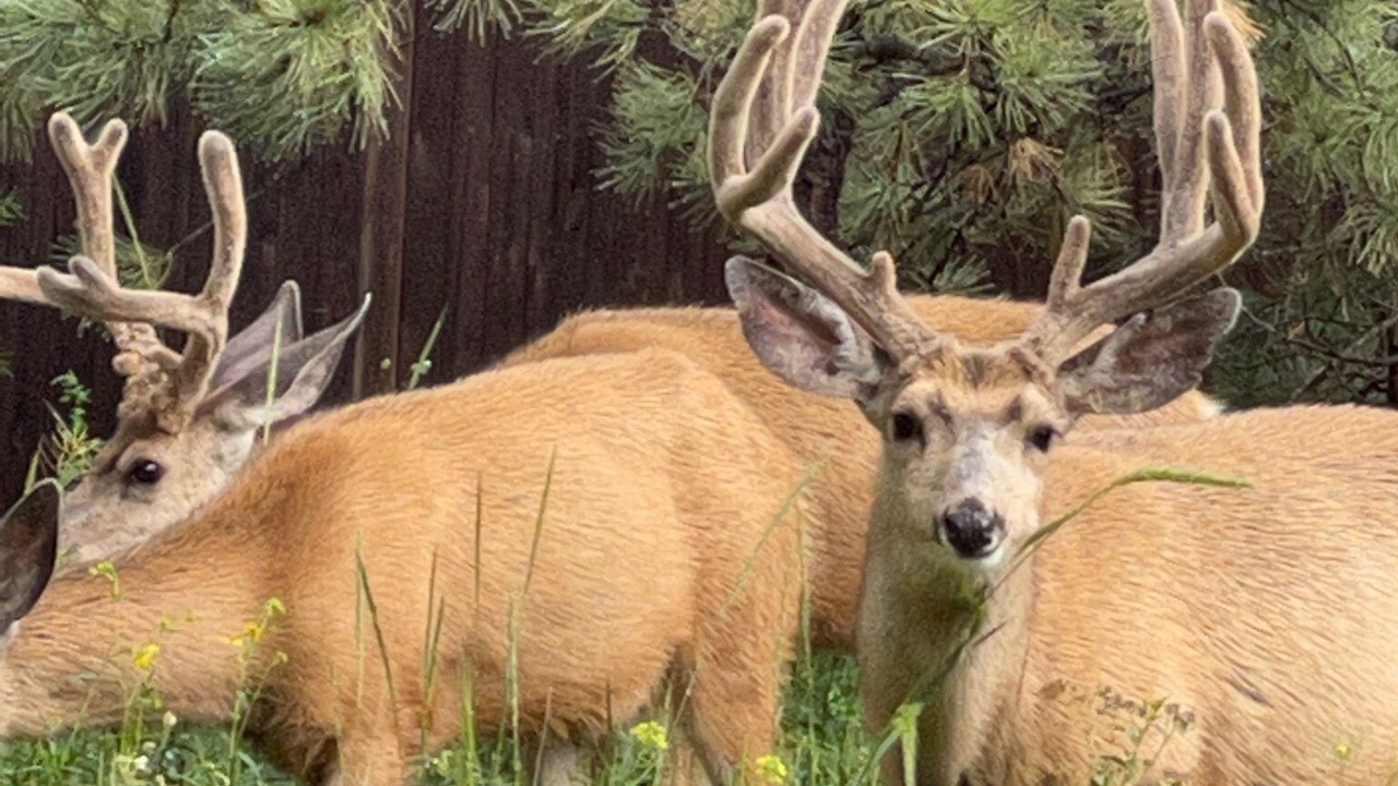 Photo of Others in Cascade