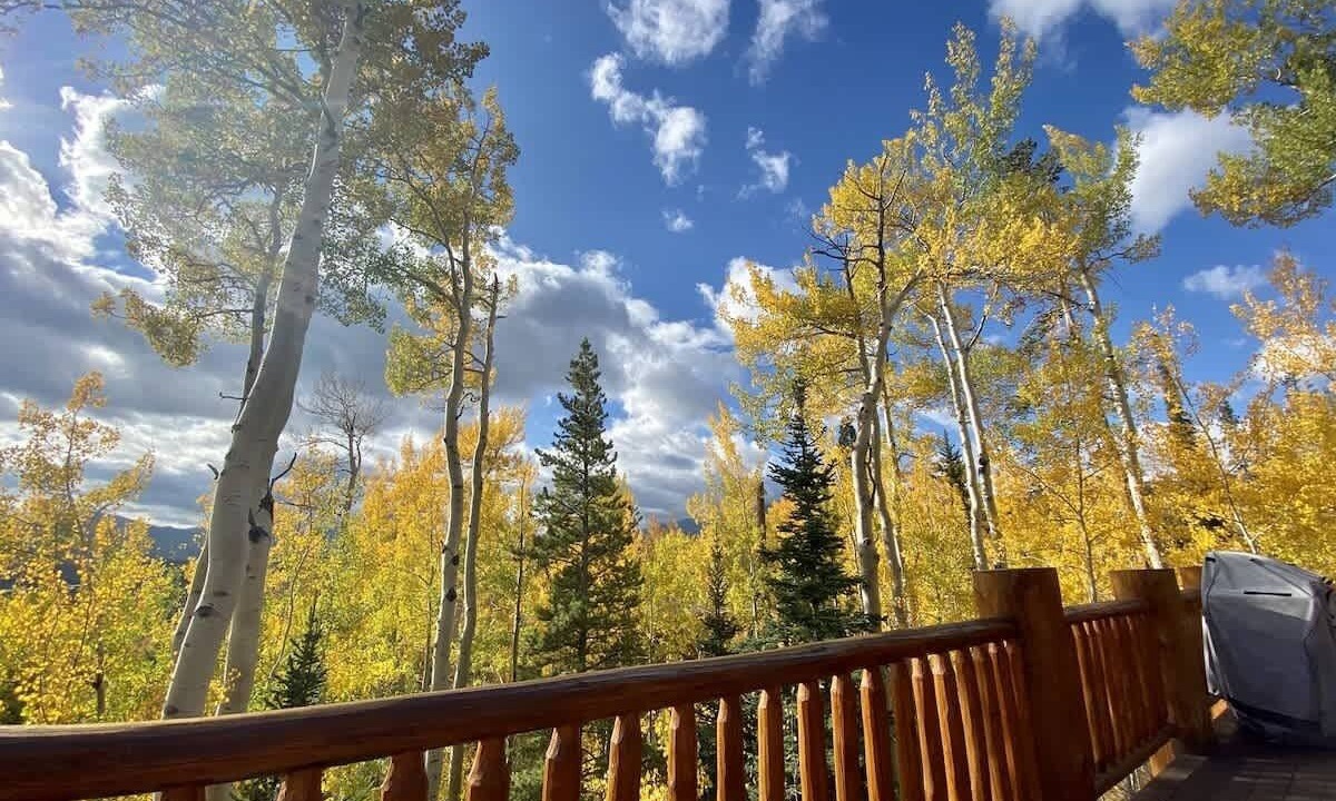 Photo of Outdoor in Wildernest