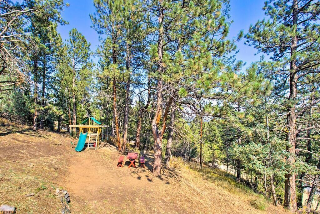 Photo of Others in Evergreen