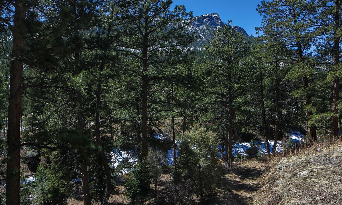 Photo of Others in Estes Park