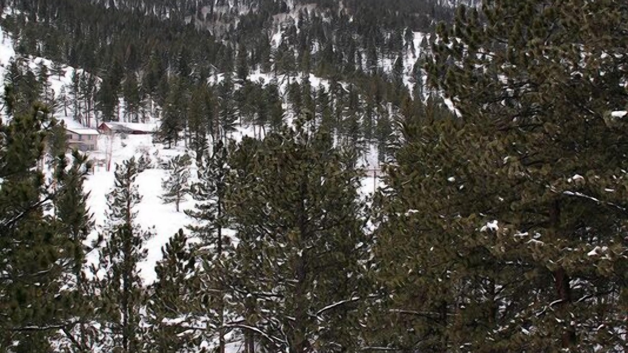 Photo of Others in Estes Park